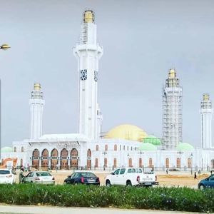 Meet your Posher, Kya